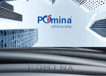 Pomina: Nợ quá hạn hơn 3,000 tỷ, lỗ lũy kế 760 tỷ đồng, bị nghi ngờ khả năng hoạt động liên tục