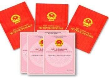 Số định danh cá nhân được ghi trên sổ đỏ trong trường hợp nào