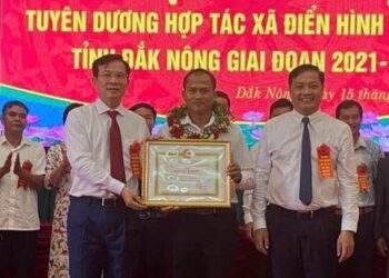 Thanh Thai coffee – sản phẩm tinh túy từ vùng đất núi lửa Đắk Nông
