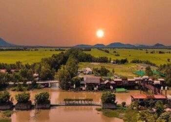 Trà Sư – chất liệu "đắt giá" trong phim "Đất rừng phương Nam"