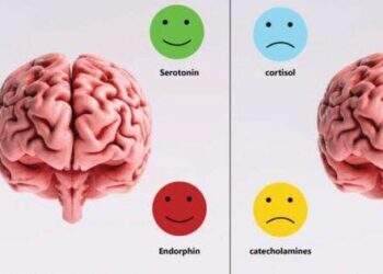 Bạn có biết đường ruột ảnh hưởng lớn đến sức khỏe tinh thần?