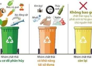 Ban hành hướng dẫn kỹ thuật về phân loại chất thải rắn sinh hoạt