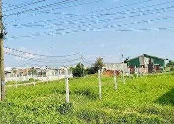 Cấp sổ hồng cho đất mua bán giấy tay