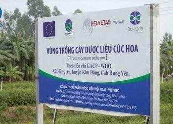 DVM nói gì trước thông tin bị thu hồi giấy chứng nhận đủ điều kiện kinh doanh?