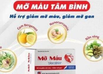 Giải pháp “thải mỡ gan” từ thảo dược tự nhiên
