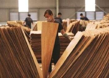 Gỗ Thuận An bị phạt và truy thu thuế hơn 134 triệu đồng