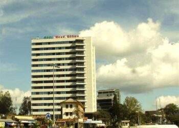 HAG bán được 442 tấn sầu riêng trong tháng 10