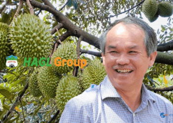 HAG bất ngờ hủy danh sách nhà đầu tư tham gia đợt phát hành 1,300 tỷ