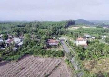 Phương án sắp xếp đơn vị hành chính cấp huyện, cấp xã tỉnh Đồng Nai