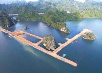 Quảng Ninh chỉ đạo kiểm tra khẩn khu đô thị tại khu 10B, thành phố Cẩm Phả