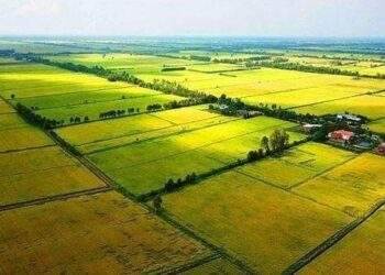 Văn bản hợp nhất thông tư quy định về quản lý đất đai