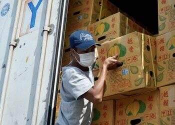 Việt Nam gần Trung Quốc nhưng phải mất 7 ngày mới xuất khẩu được xe sầu riêng