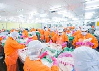 ANV muốn phát hành hơn 133 triệu cp để tăng vốn