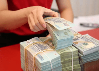 Chính phủ yêu cầu thanh tra việc điều hành tăng trưởng tín dụng của Ngân hàng Nhà nước