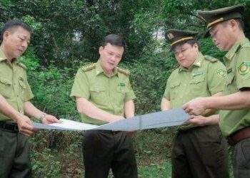 Công tác quản lý, bảo vệ rừng có nhiều chuyển biến tích cực trong năm 2023