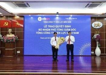 Điện lực miền Nam bổ nhiệm 2 Phó Tổng Giám đốc