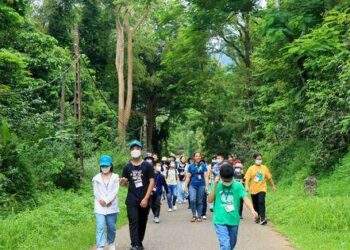 Khách du lịch đến các khu rừng đặc dụng tăng mạnh