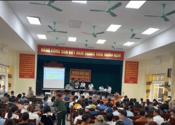 Lạ lùng các phiên đấu giá đất: Nơi bỏ cọc, chỗ cao chót vót