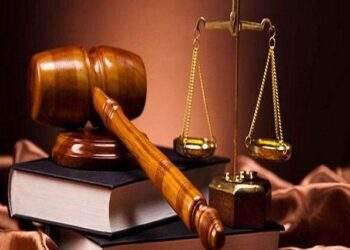 SED bị phạt và truy thu thuế gần 2 tỷ đồng