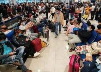 Cử tri phản ánh 'giá vé máy bay cao và không ổn định', Bộ GTVT nói gì?