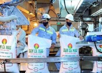 Đạm Cà Mau báo lãi quý 4 chiếm gần 45% cả năm