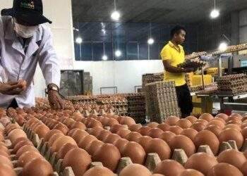 Độc đáo món trứng gà nướng liên tục 100 giờ khiến giới trẻ mê mẩn