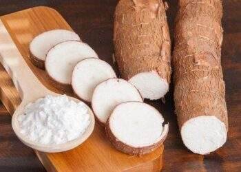 Một doanh nghiệp sản xuất tinh bột sắn chốt ngày tạm ứng cổ tức 20% bằng tiền