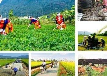 Quốc hội thông qua cơ chế các chương trình mục tiêu quốc gia