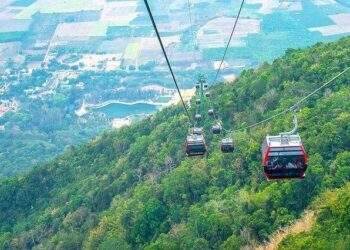 TCT vẫn trích thưởng cho nhân viên dù kết quả kinh doanh 2023 đi lùi gần 40%