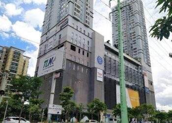 TDH lỗ trở lại trong năm 2023