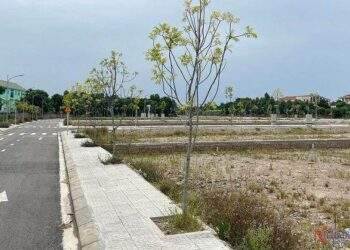 ‘Phiên chợ’ đấu giá đất 2023: Nơi rầm rộ chốt lô, nơi ế ẩm bỏ cọc tiền tỷ