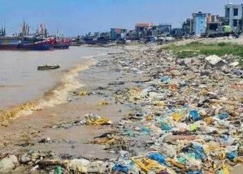 Bảo vệ môi trường thông qua chính sách thuế