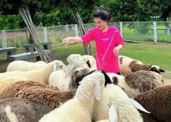 Độc đáo “Vườn Zoo” ở Khu tham quan Điện mặt trời An Hảo