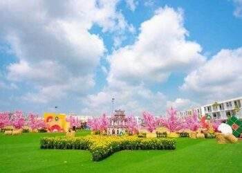 Khai trương đường hoa xuân hình bản đồ chữ S