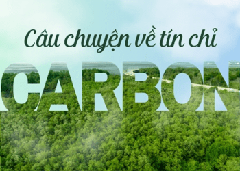 [Longform] Câu chuyện về tín chỉ carbon: Góc nhìn từ đơn vị trung hòa phát thải từ bản chất