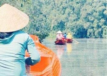 Mùa xuân mới trên Điểm tham quan Khu bảo tồn Đồng Tháp Mười