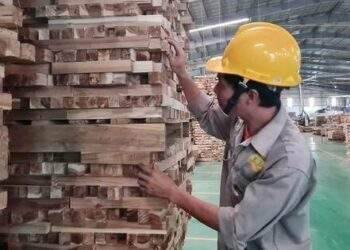 Xuất khẩu gỗ sang Mỹ tăng vọt hơn 120% có bất ngờ?