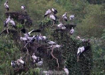 in điểm du lịch "mới toanh"