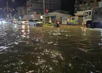 Nước sông Mekong về ít, ĐBSCL sắp đón thêm đợt xâm nhập mặn mới