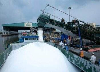 Phân bón Cà Mau mở rộng thị trường xuất khẩu