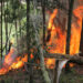 Tăng cường công tác phòng cháy, chữa cháy rừng năm 2024