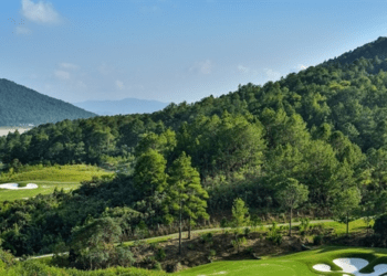 Ai đứng sau doanh nghiệp phá rừng để làm dự án sân golf, biệt thự tại Lâm Đồng?