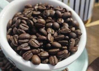Giá cà phê trong nước tăng như vũ bão, tiến sát 120.000 đồng/kg