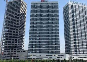 Lợi nhuận doanh nghiệp của Shark Việt lao dốc