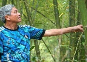 Một huyện miền núi Thanh Hóa được phê duyệt dự án nhà máy 3.200 tỷ đồng