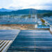Ninh Thuận đặt mục tiêu thành trung tâm năng lượng tái tạo