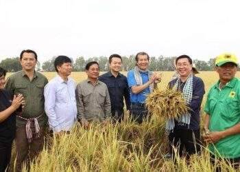 Phân bón Bình Điền lãi lớn trong quý I-2024