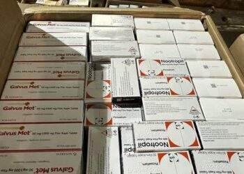 Phát hiện số lượng lớn thuốc tân dược không chứng từ tại sân bay Tân Sơn Nhất