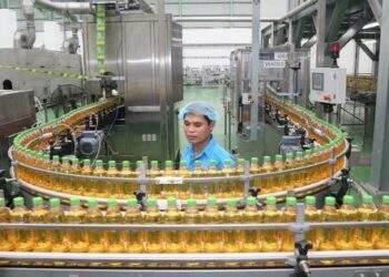 Tăng cường hợp tác quốc tế để đưa sản phẩm mang ‘hộ chiếu Việt’ ra thế giới