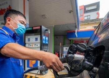 Trong nước và thế giới có thể cùng tăng